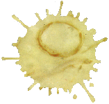 Comment nettoyer les sols...